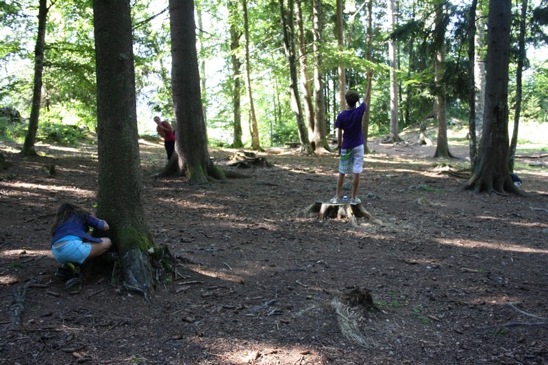 Village Camps International Summer Camp Leysin, Switzerland 2026-08-14 https://www.villagecamps.com/journals_admin/images/709-43-nature (40).jpg